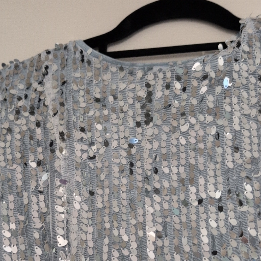 Silver Sequin Long Sleeve Dress - Picture 3 of 6